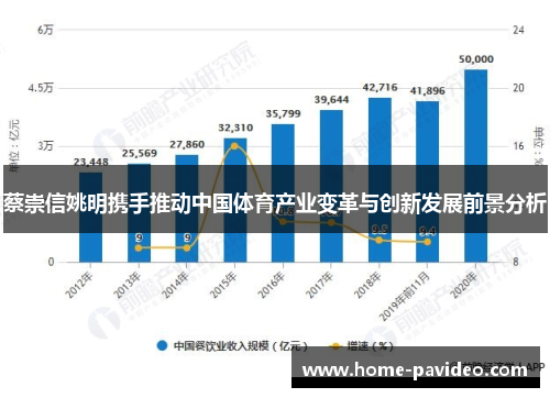 蔡崇信姚明携手推动中国体育产业变革与创新发展前景分析