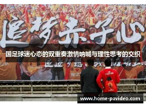 国足球迷心态的双重奏激情呐喊与理性思考的交织