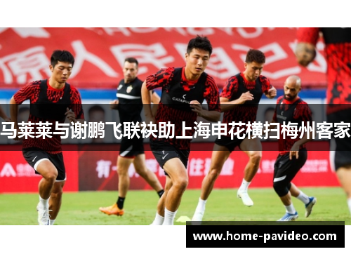 马莱莱与谢鹏飞联袂助上海申花横扫梅州客家 马莱莱与谢鹏飞联袂助上海申花横扫梅州客家